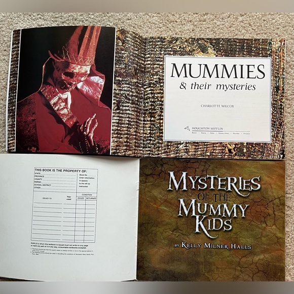 Lot of 2 Children’s Paperback Mummy Books MYSTERIES OF THE MUMMY KIDS Vintage - Picture 3 of 5
